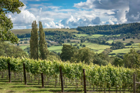 In Favour of The Cotswolds over the C&ocirc;te d'Or